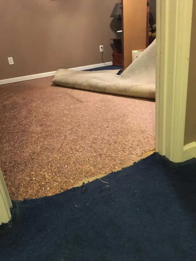 Carpet pad removal revealing water damage during Drying & Dehumidification in New Albany