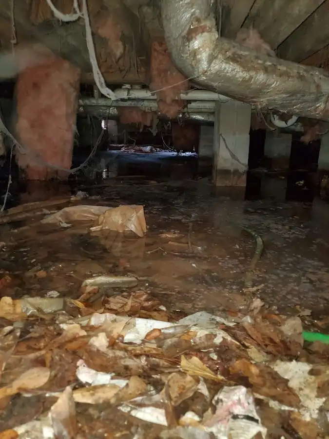 Crawl space flood assessment for Leak Detection & Repair in New Albany