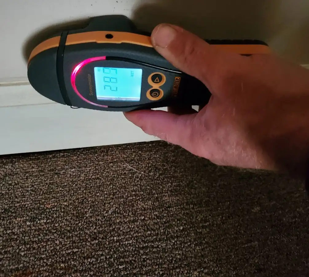 Moisture detection at baseboard during Mold Inspection & Testing in New Albany